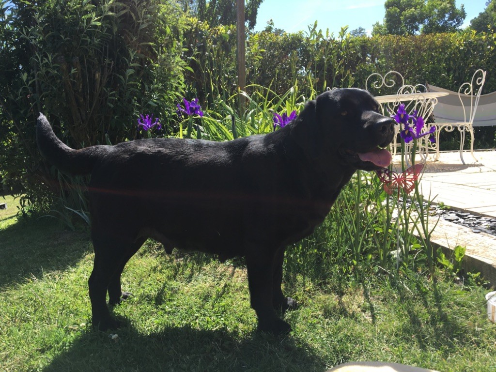 Shanti De La Sauveté Du Rouergue